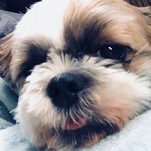 Meet your Posher, Isabela